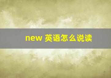 new 英语怎么说读